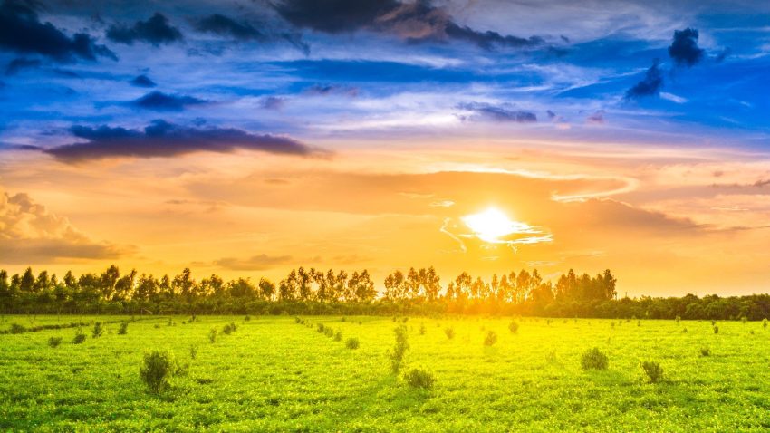 Sunset over Tea Plantation, Bangladesh