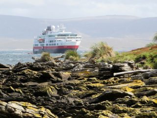 cruise Falkland Islands