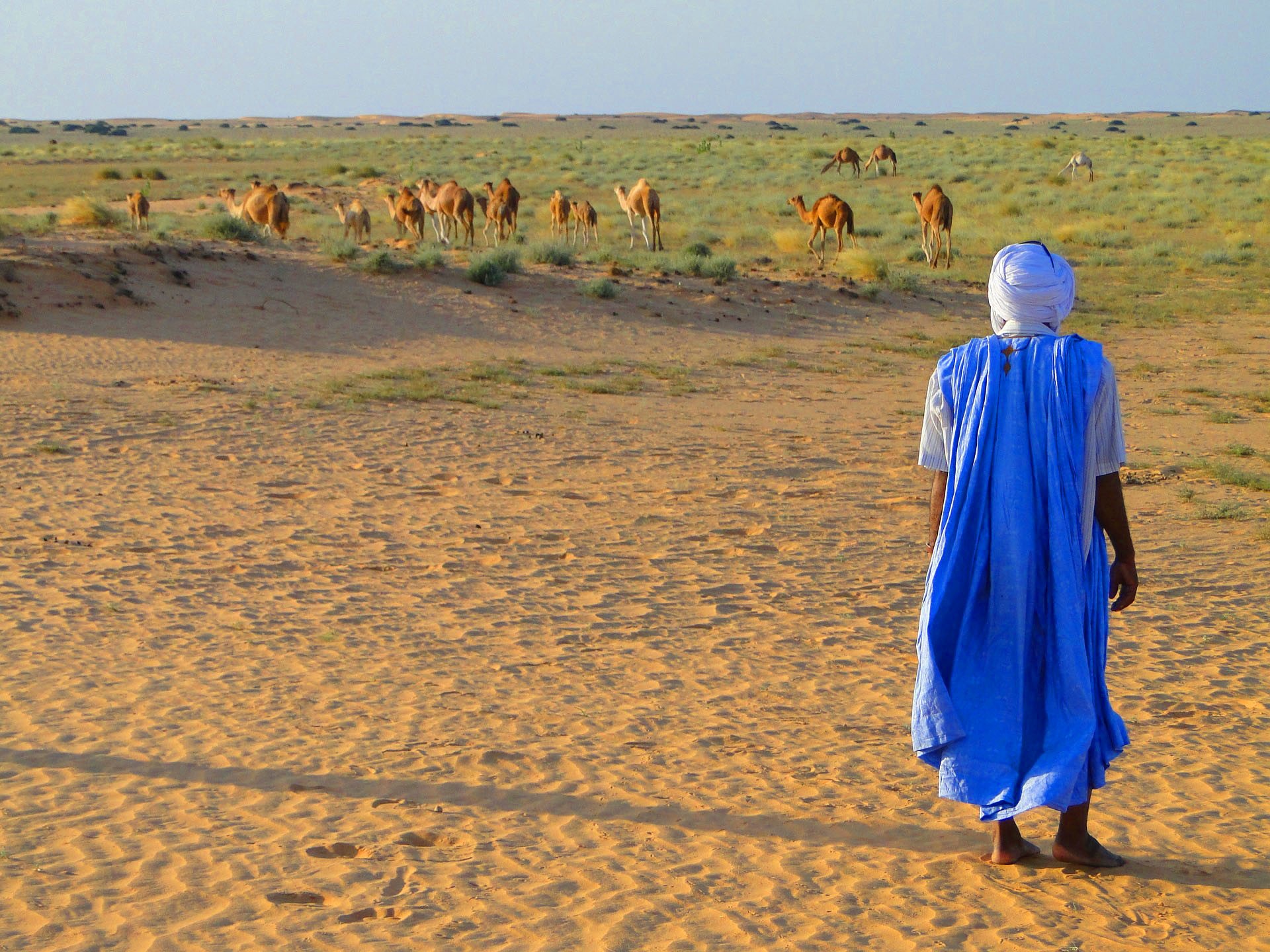 Desert Mauritania