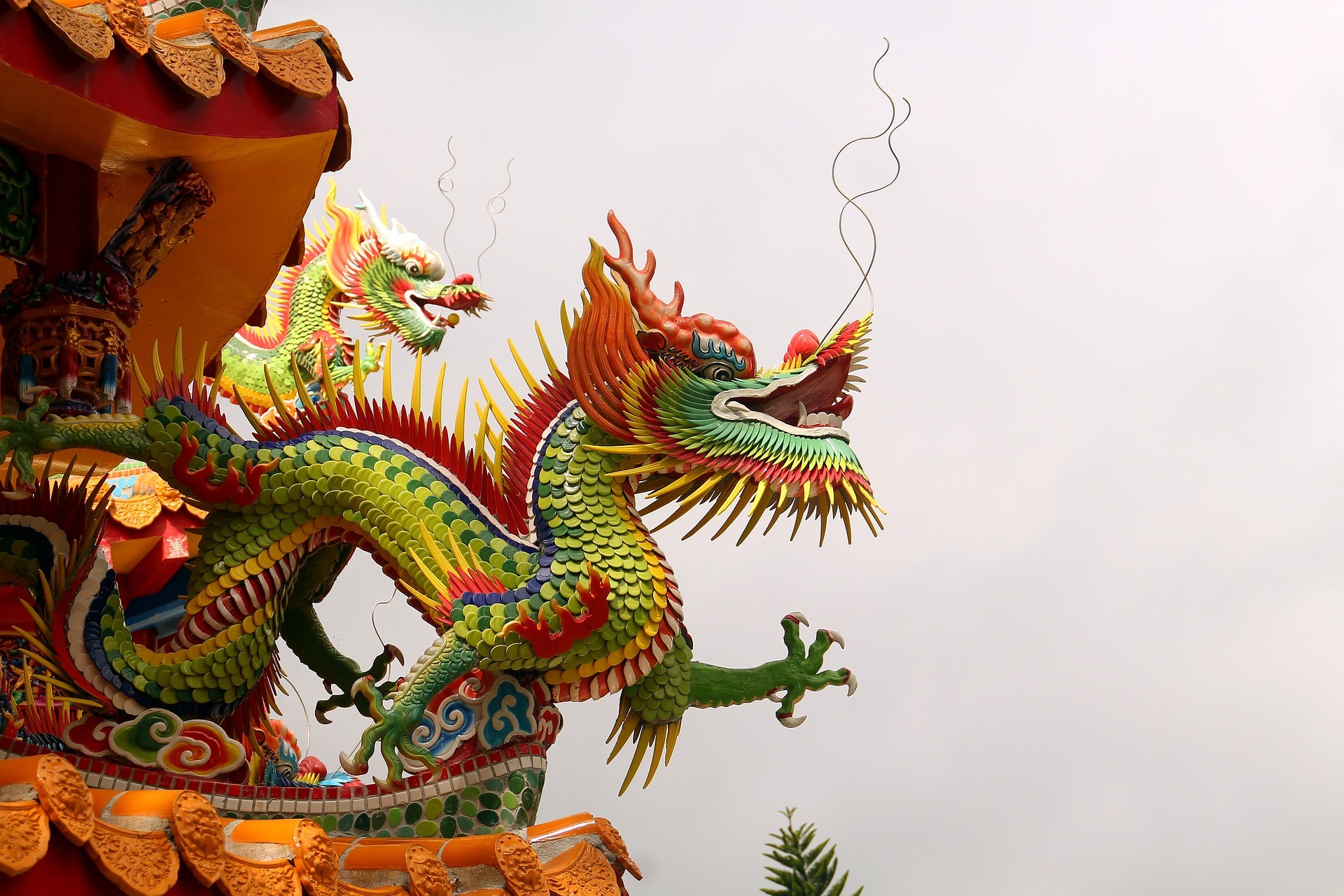 Dragon Taiwan