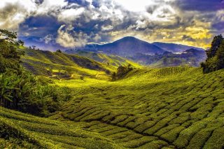 Landscape of Malaysia