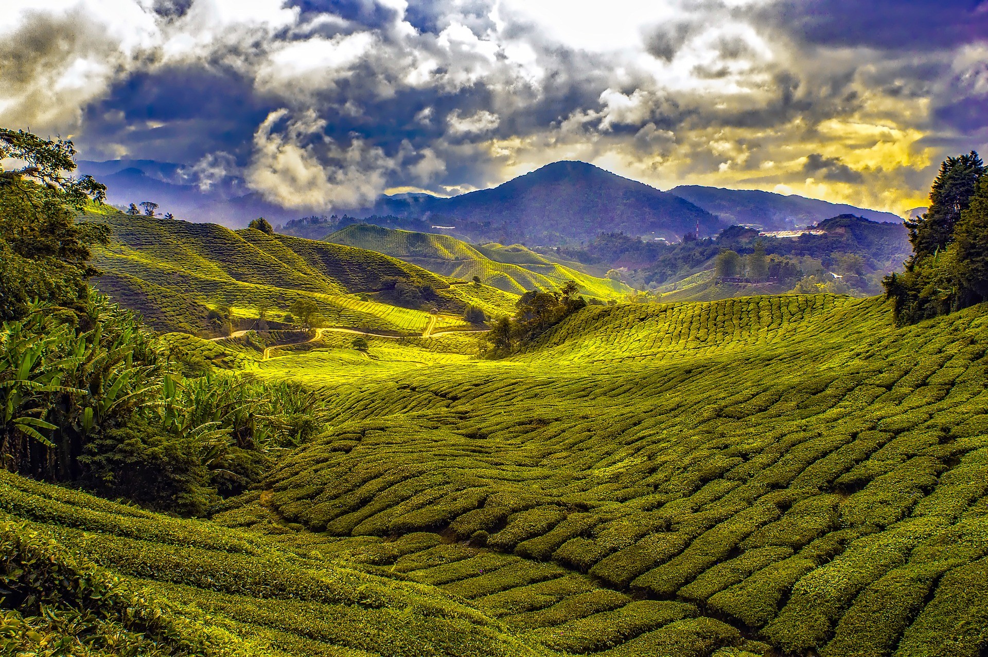 Malaysia Tropics Mountains Sky