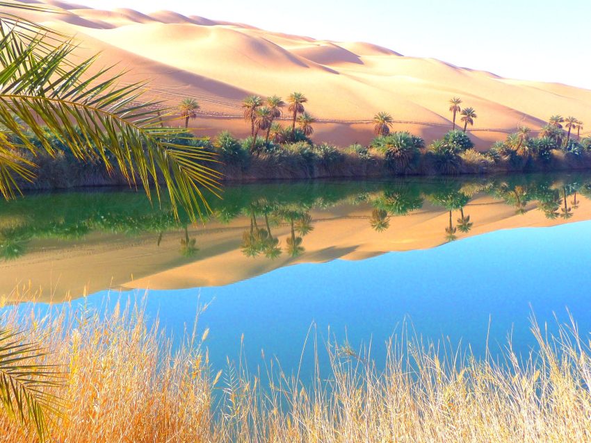 oasis Libya