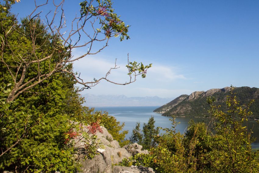 Lake Skadar panoramio