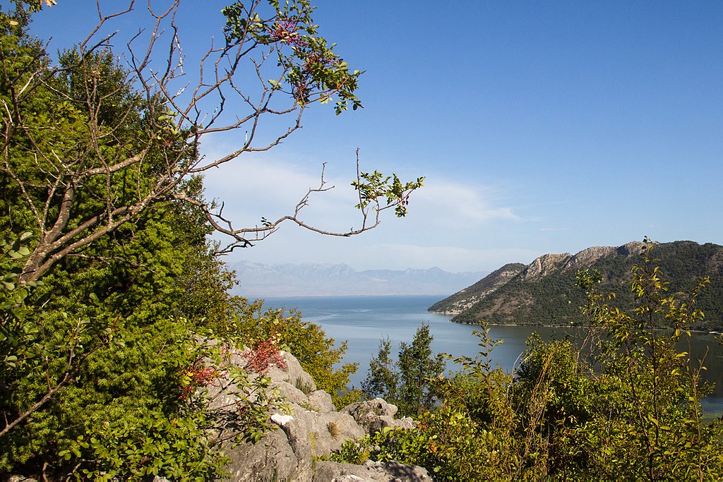 Lake Skadar Panoramio
