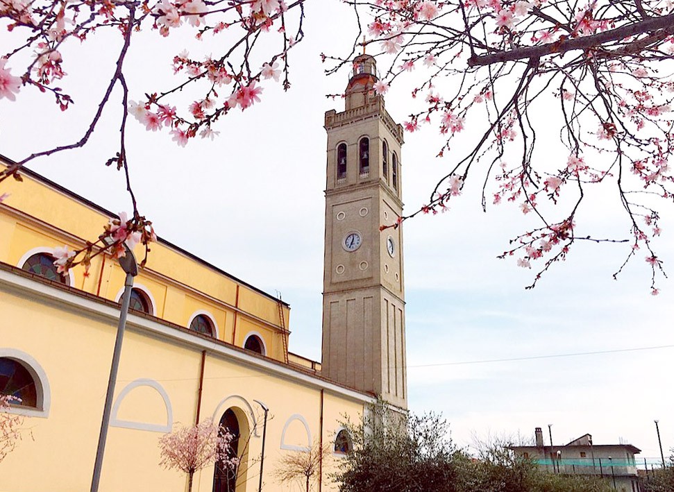 Cathedral Shkoder Tower