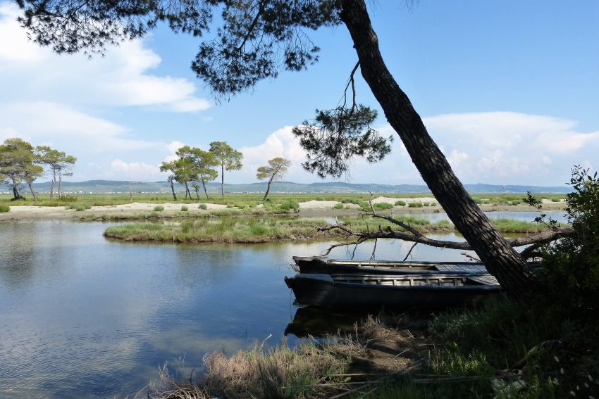 divjake karavasta national park