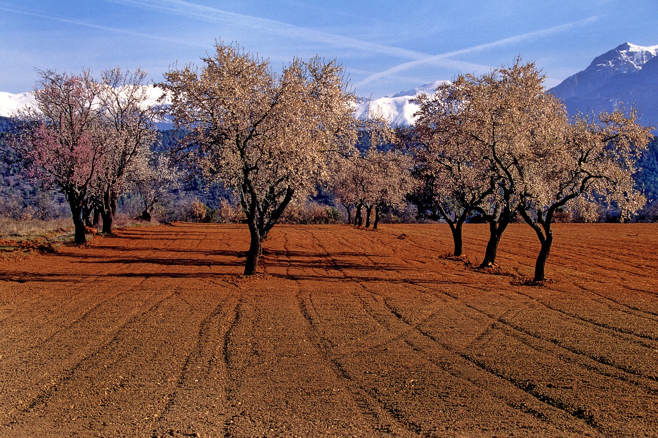 Aragon Spain