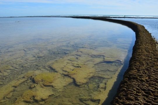 Fish pens of Chipiona 1