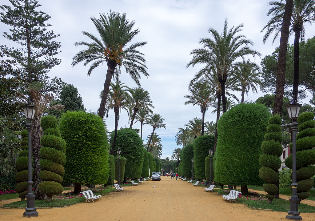 Park Genoves Cadiz 3