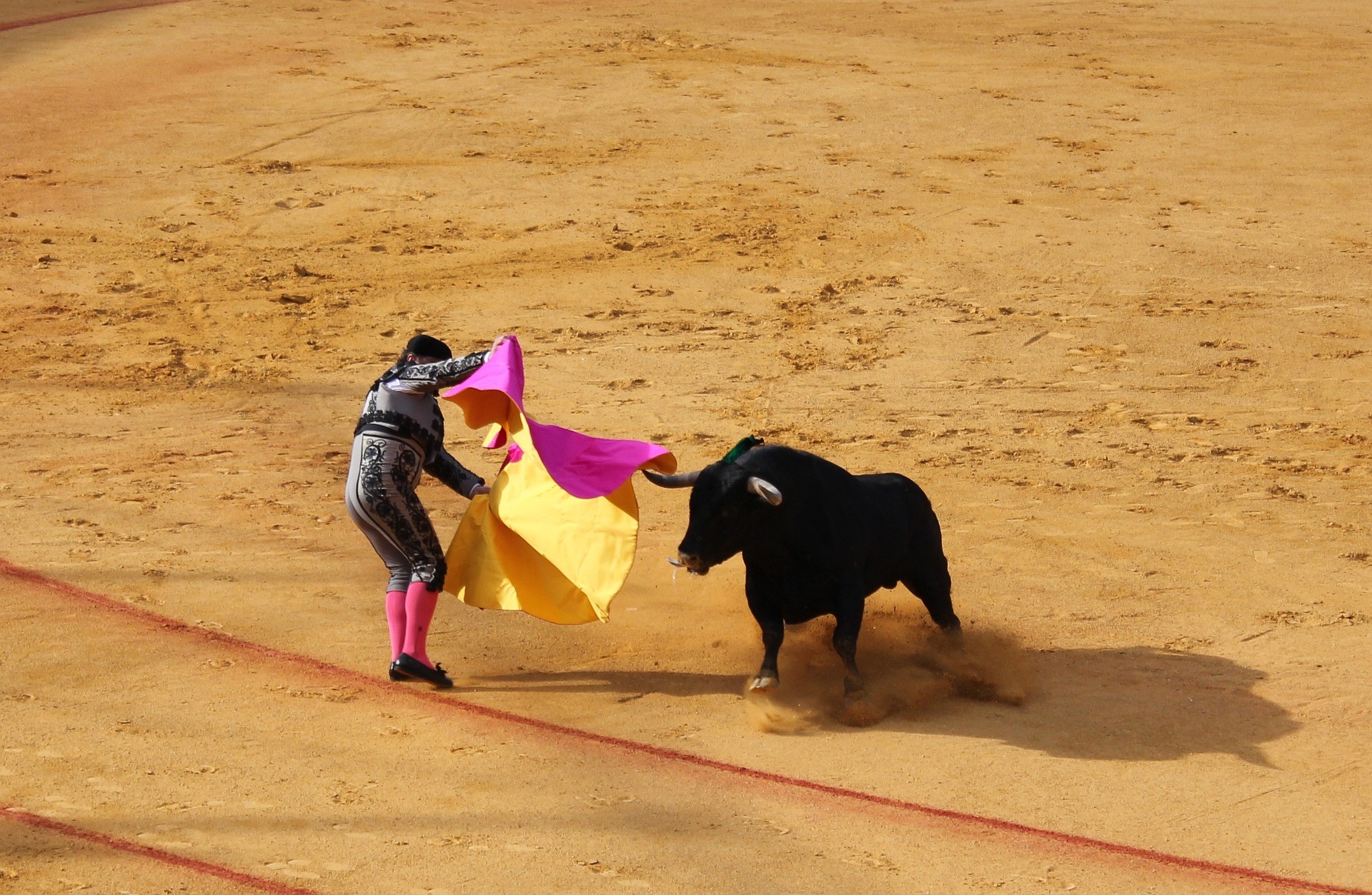 Bull Fight In Seville