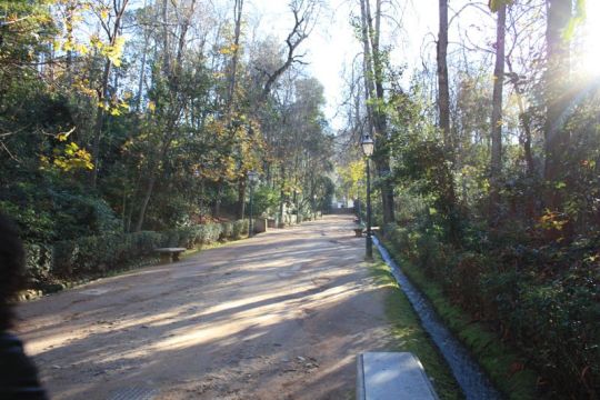 Bosque de Alhambra 1