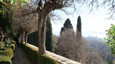 Jardin De Los Adarves, Alhambra, Genada 6