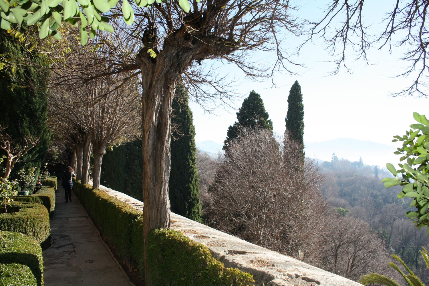Jardin De Los Adarves Alhambra Genada 6