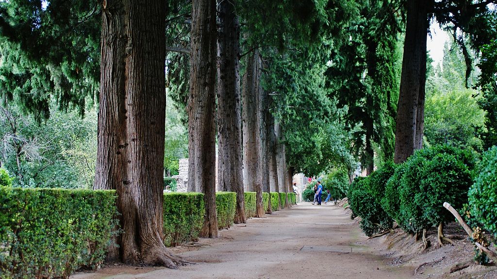 Paseo De Los Cipreses Generallife Alhambra 4