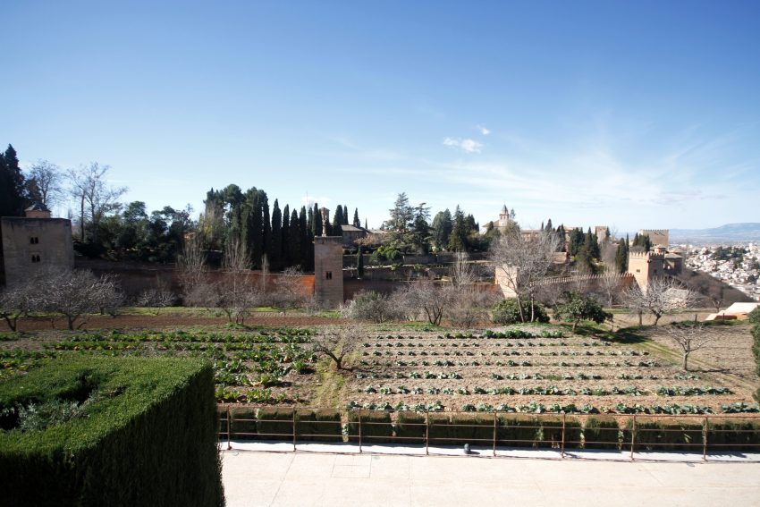 Paseo de los Nogales Generalife