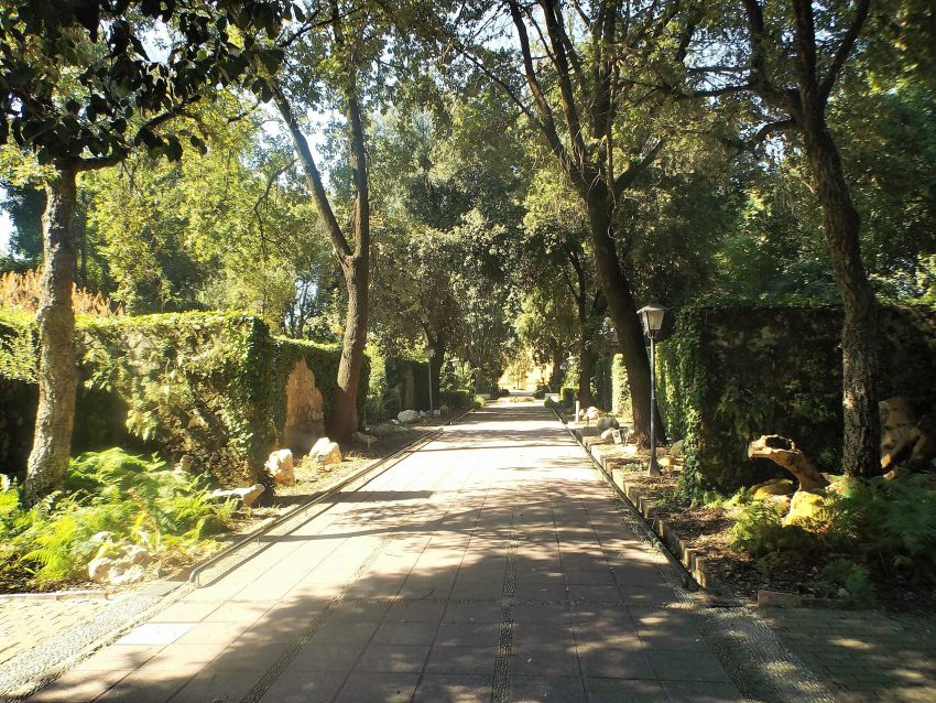 Camino del Real Jardin Botanico de Cordoba