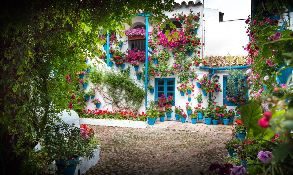 Cordoba Patios Festival Visitors Centre