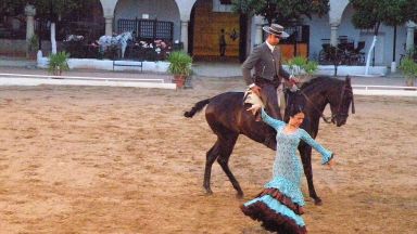 Passion And Spirit Of The Andalusian Horse At The Caballerizas Reales