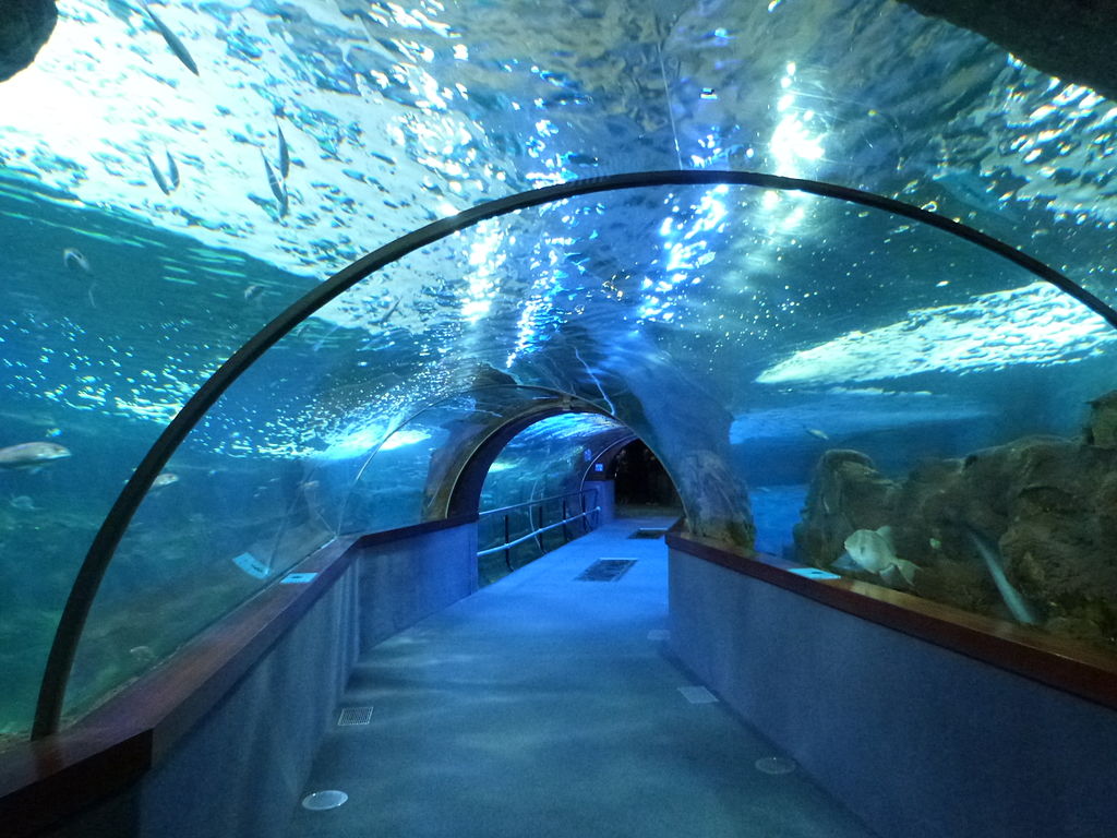 Aquarium Of Donostia San Sebastian Spain