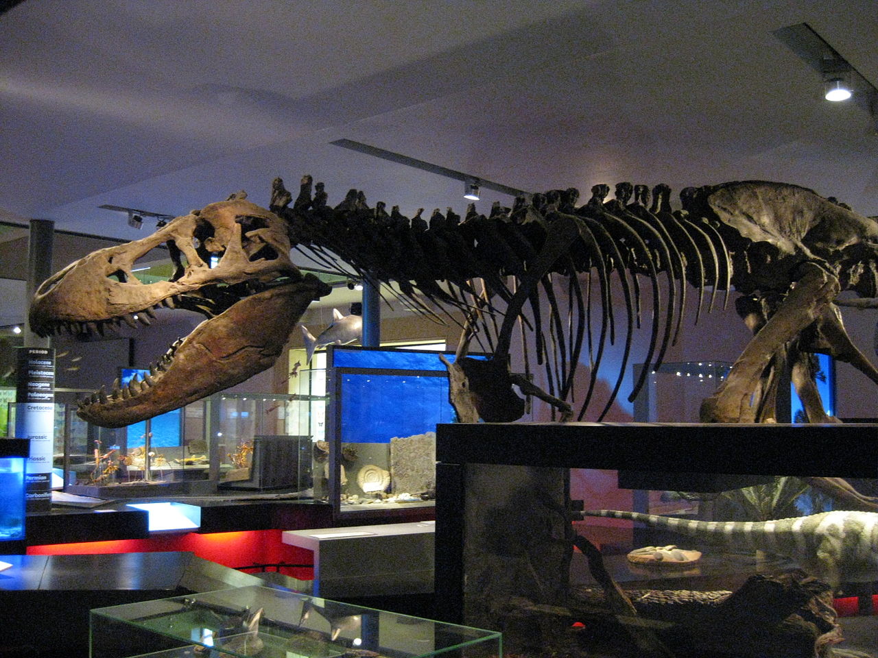 Hancock TRex
