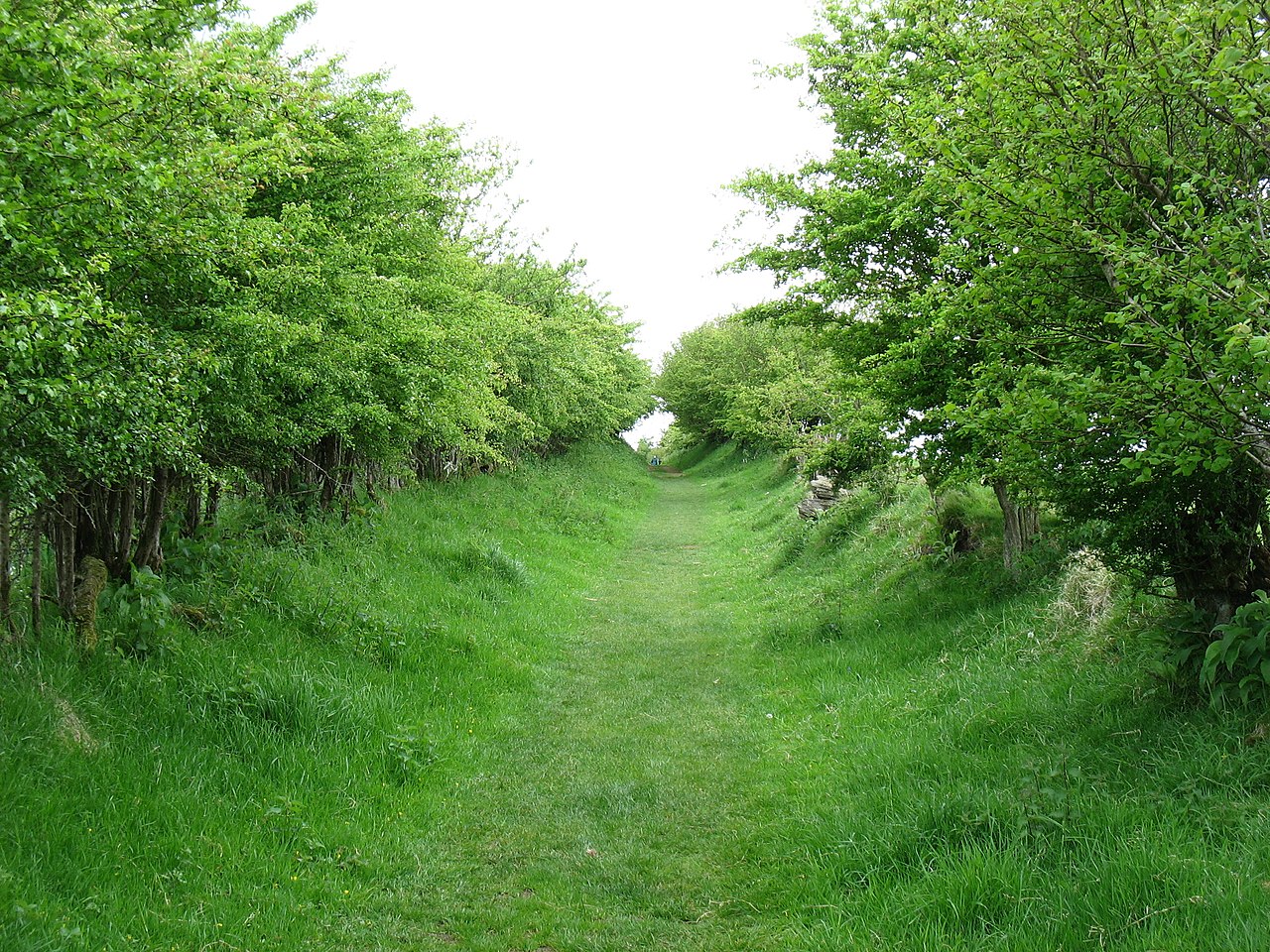 Milecastle 59 – Old Wall The Hadrians Wall Path Follows A Green Lane