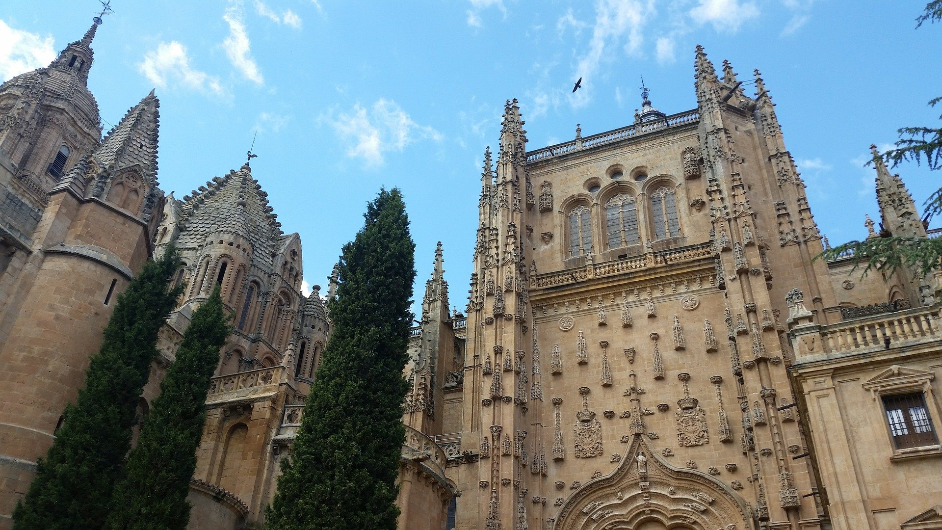 Salamanca Cathedral