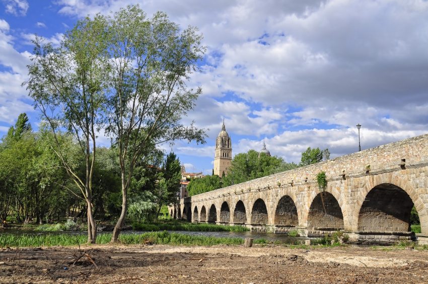 salamanca romanbridge