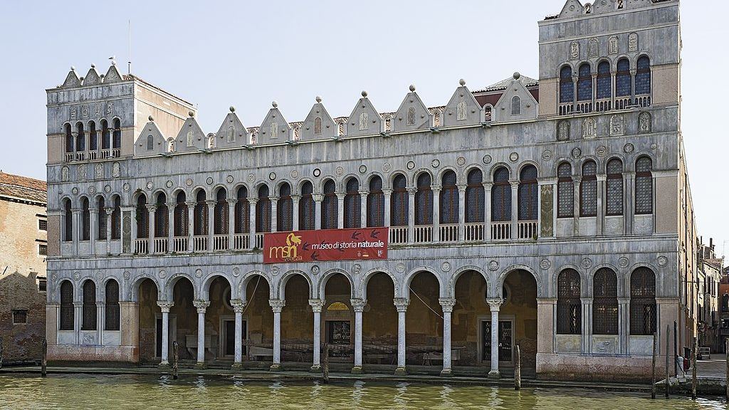 Museo Di Storia Naturale Di Venezia E1714473387894