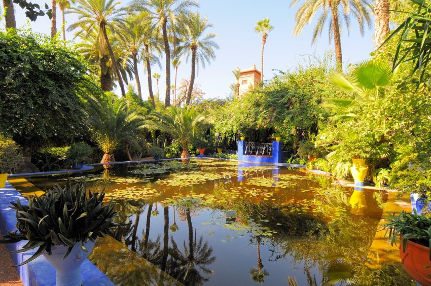 Le jardin des majorelle