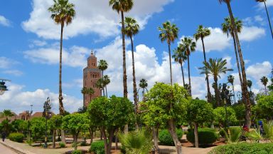 The Gardens of Marrakesh-new