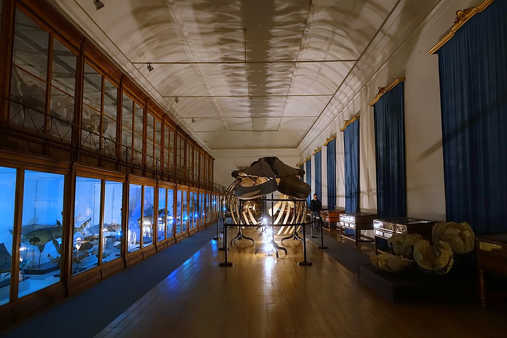 Museu Da Ciencia Da Universidade De Coimbra