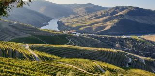 Douro Valley Road Trip