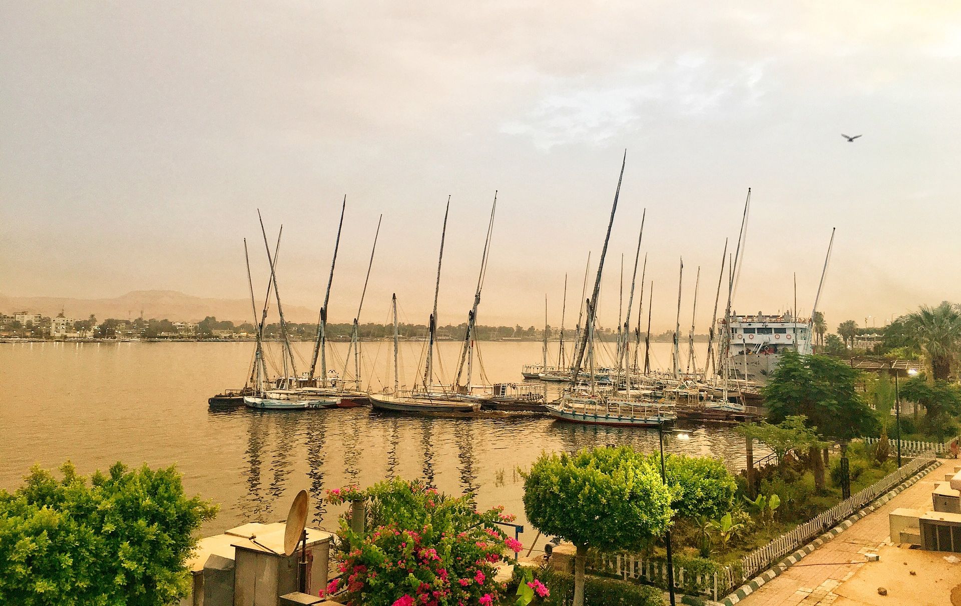 Luxor E1714396862665
