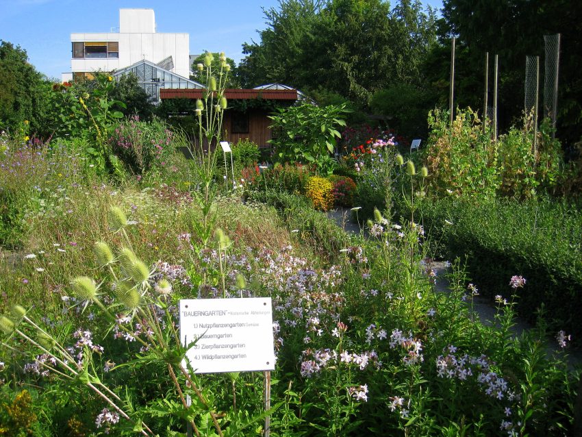 Botanischer Garten der Universitat Wurzburg