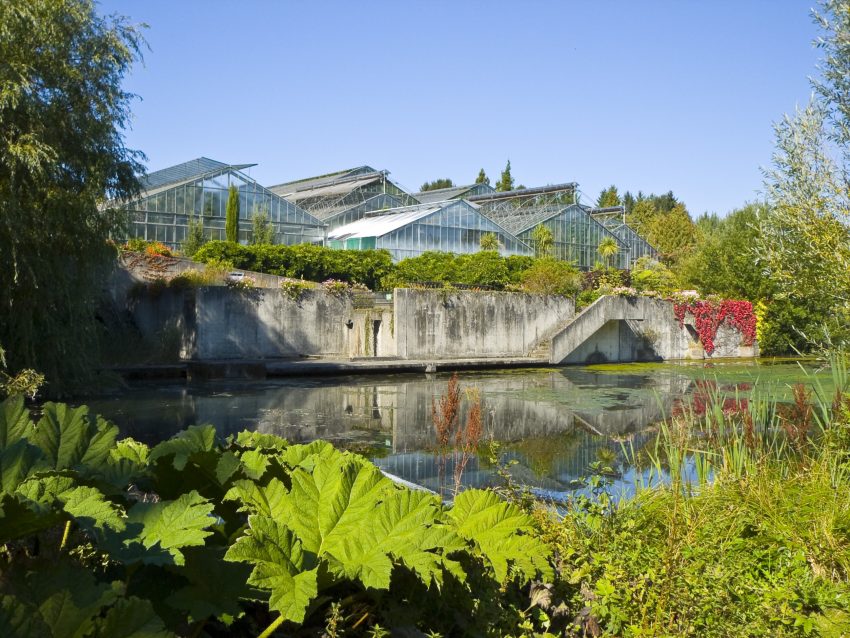 Neuer Botanischer Garten   Gewachshaus