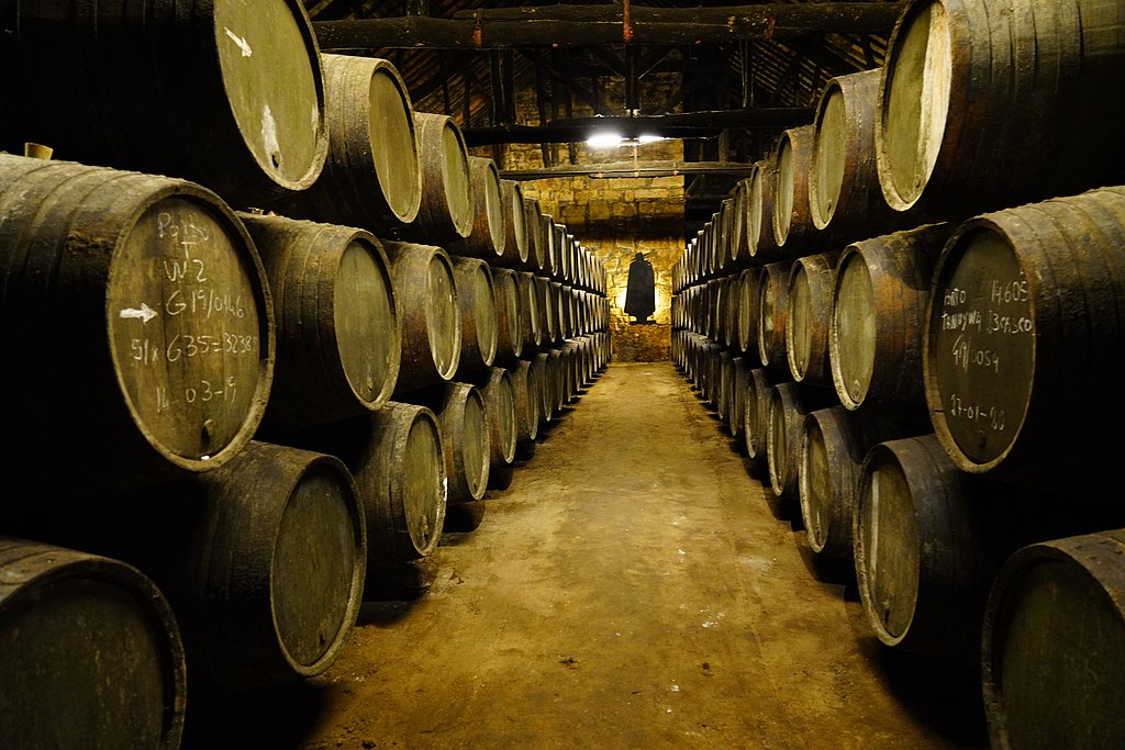 sandeman cellar tour