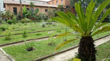 Orto Botanico (Botanic Garden) Pisa