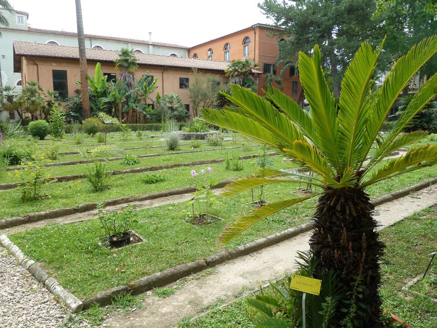 Orto Botanico Botanic Garden Pisa