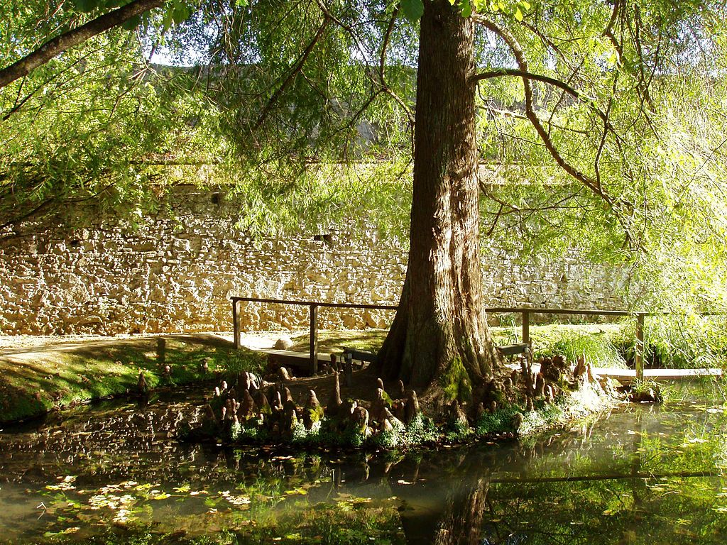 Orto Botanico Comunale Di Lucca   Pond And City Wall