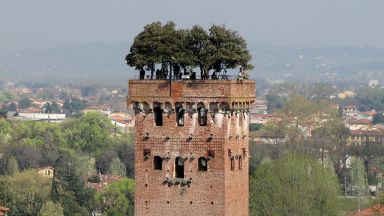 Torre Guinigi, Guinigi Tower, Lucca