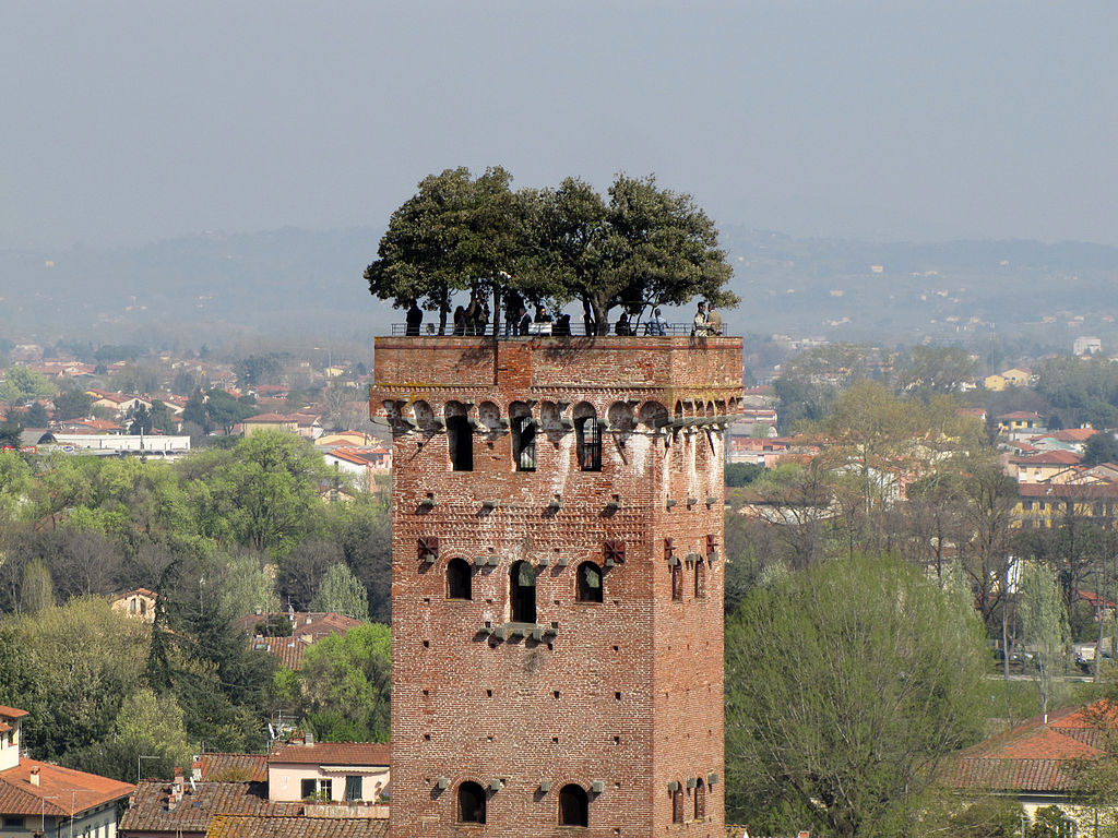 Torre Guinigi Guinigi Tower Lucca