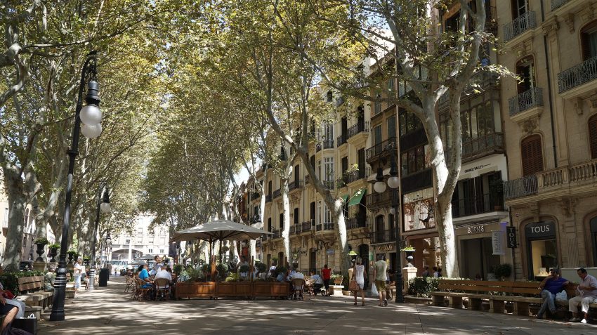 Passeig del Born