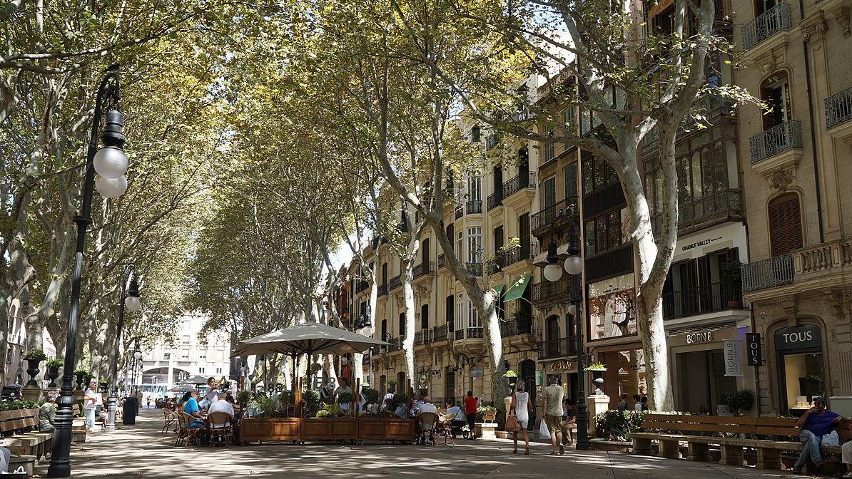 Passeig Del Born E1714484036616