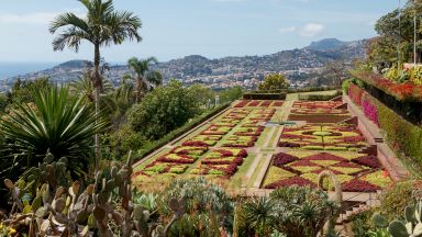 Jardim Botânico Da Madeira