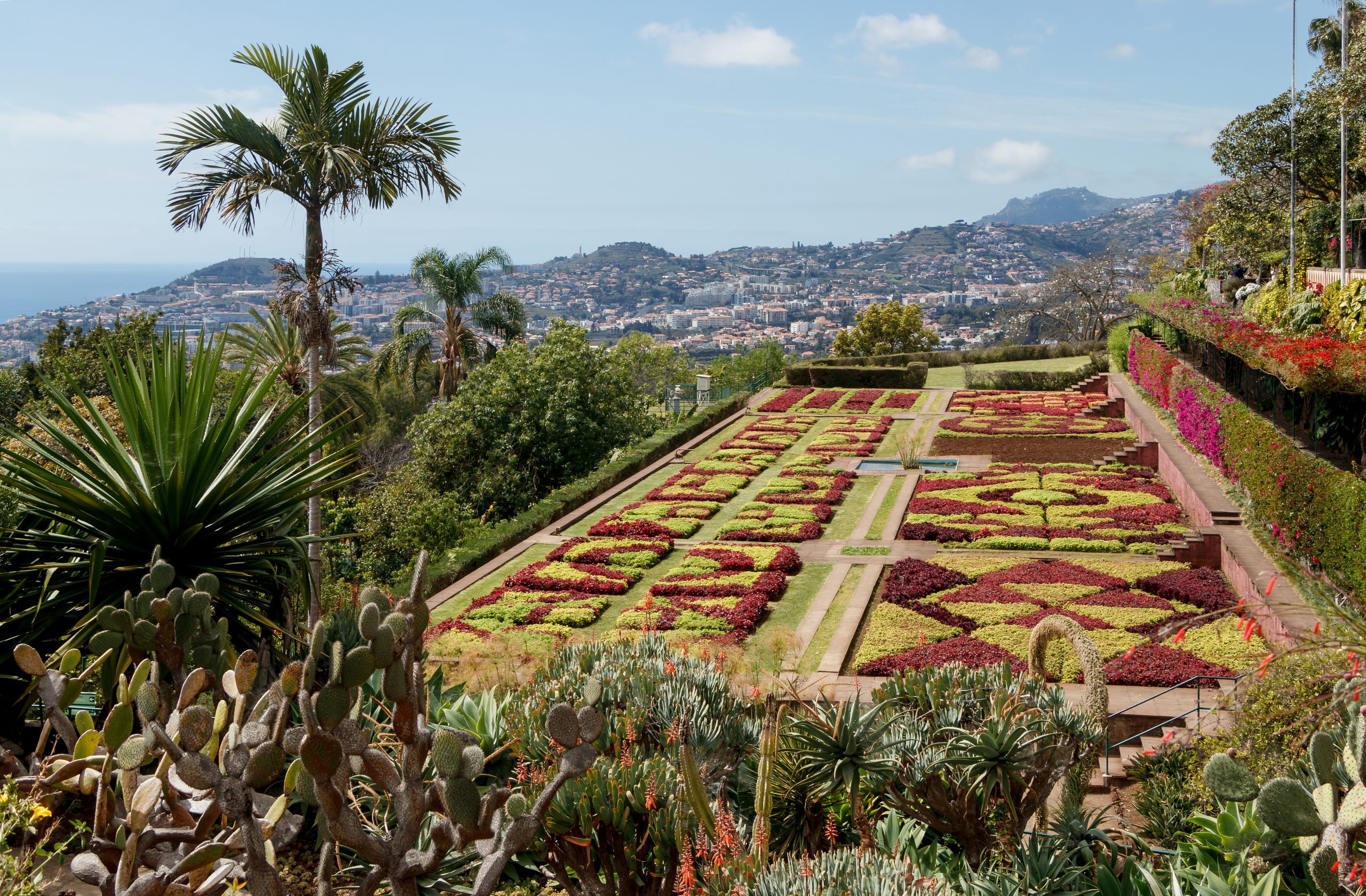 Jardim Botanico Da Madeira Scaled
