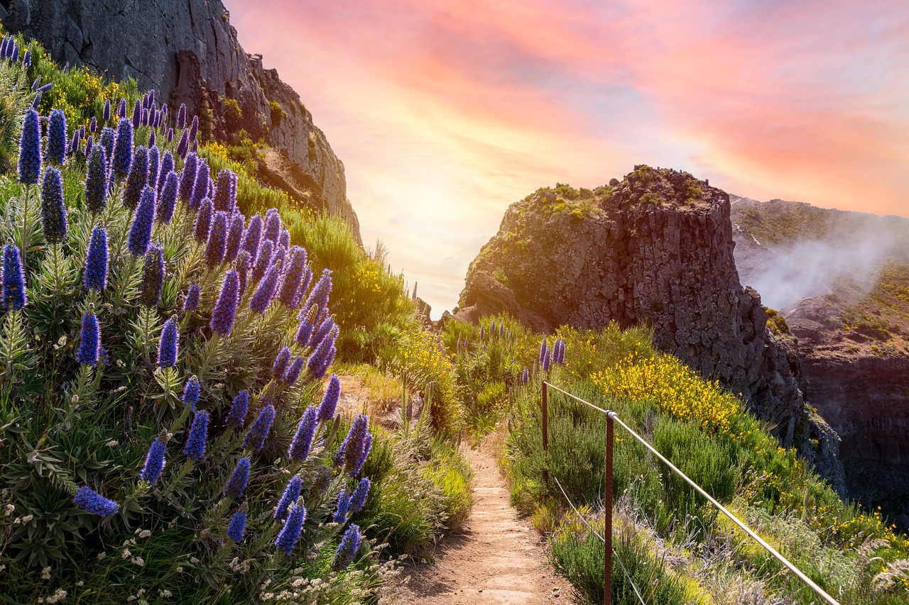Best Hikes In Madeira