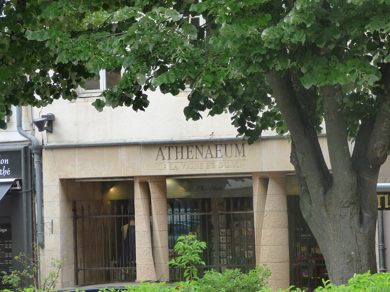 Athenaeum De La Vigne Et Du Vin