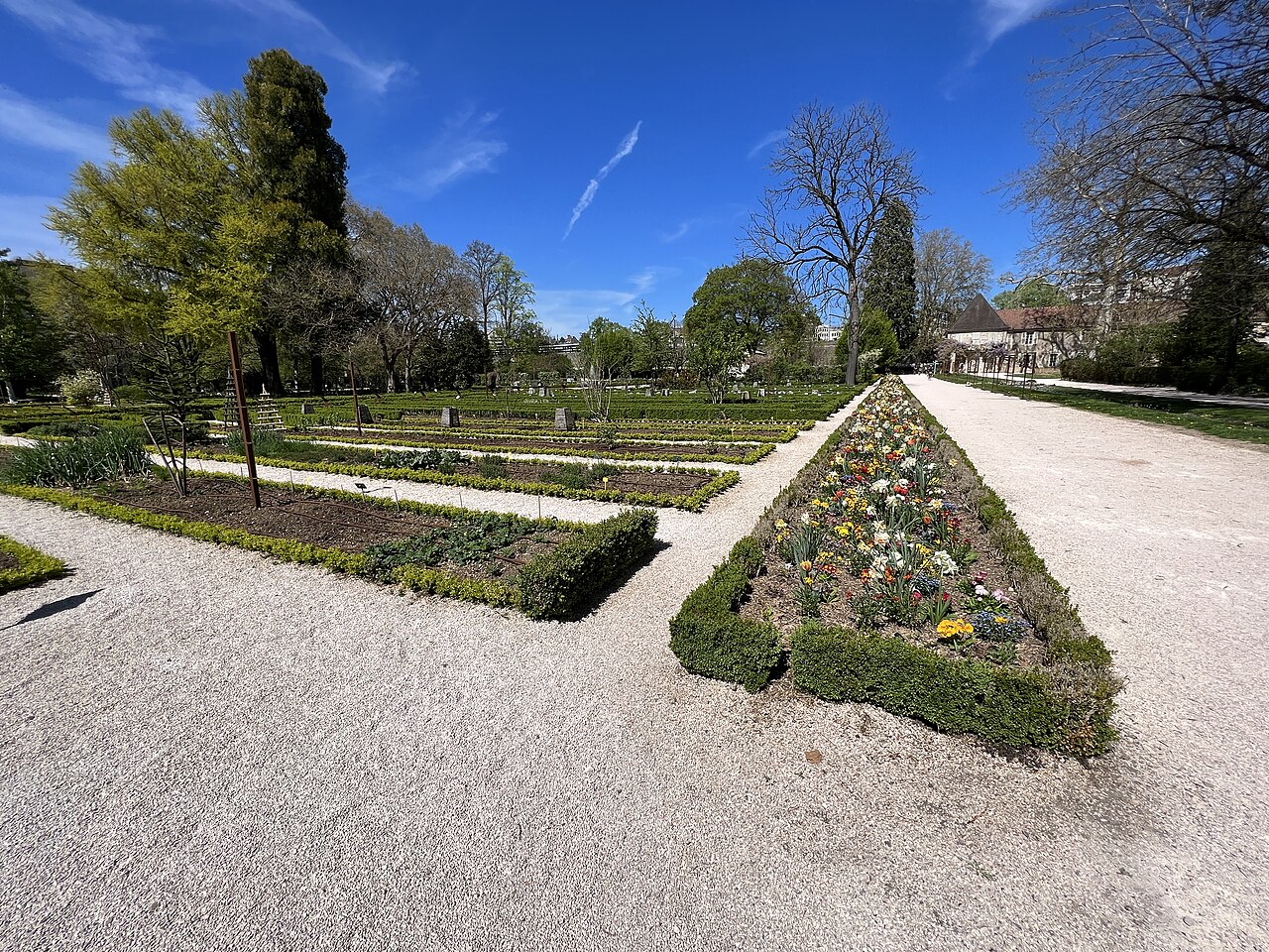 Jardin Arquebuse   Dijon