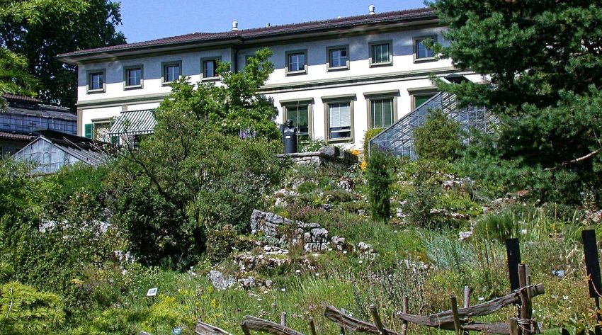 Bern   Botanischer Garten